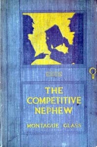 The Competitive Nephew book cover