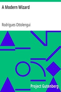 A Modern Wizard book cover