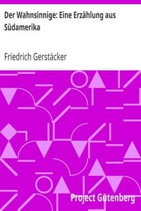 Der Wahnsinnige: Eine Erzählung aus Südamerika