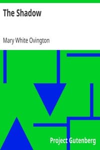 The Shadow book cover