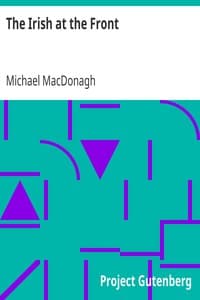 The Irish at the Front book cover