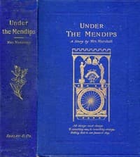 Under the Mendips: A Tale book cover