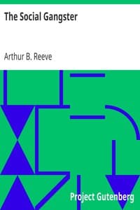 The Social Gangster book cover