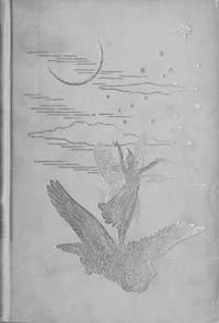The Grey Fairy Book book cover