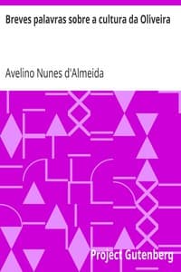 Breves palavras sobre a cultura da Oliveira