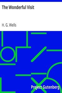 The Wonderful Visit book cover