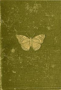 Butterflies and Moths (British)
