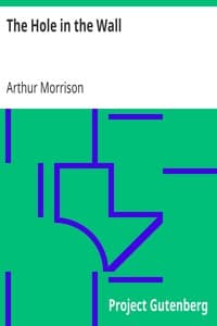 The Hole in the Wall book cover
