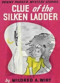 Clue of the Silken Ladder book cover