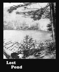 Lost Pond book cover