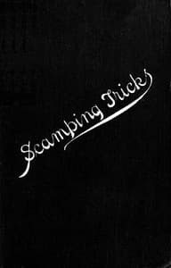 Scamping Tricks and Odd Knowledge Occasionally Practised upon Public Works book cover