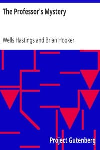 The Professor's Mystery book cover