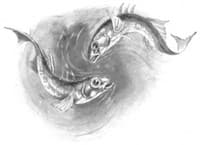 Among the Pond People book cover