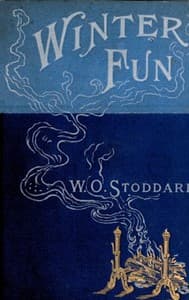 Winter Fun book cover