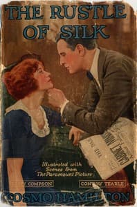 The Rustle of Silk book cover