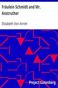 Fräulein Schmidt and Mr. Anstruther book cover