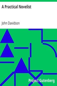 A Practical Novelist book cover