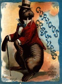 Curious Creatures book cover