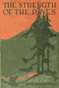 The Strength of the Pines book cover