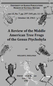 A Review of the Middle American Tree Frogs of the Genus Ptychohyla