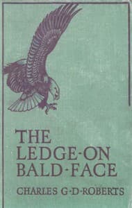 The Ledge on Bald Face