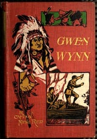 Gwen Wynn: A Romance of the Wye book cover