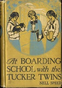 At Boarding School with the Tucker Twins book cover