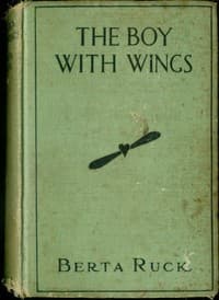The Boy with Wings book cover