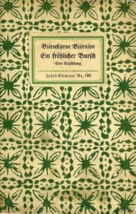 Ein fröhlicher Bursch: Eine Erzählung book cover