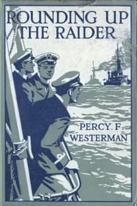Rounding up the Raider: A Naval Story of the Great War book cover