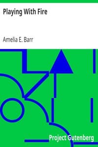 Playing With Fire book cover