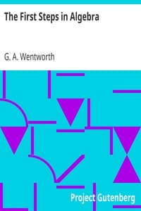 The First Steps in Algebra