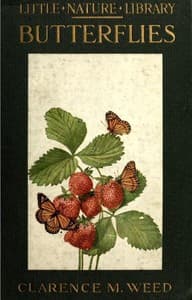 Butterflies Worth Knowing book cover