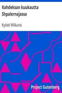 Kahdeksan kuukautta Shpalernajassa book cover