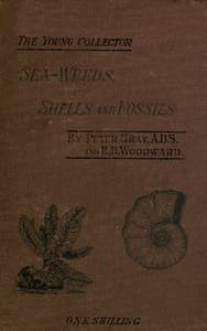 Sea-Weeds, Shells and Fossils
