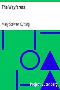 The Wayfarers book cover
