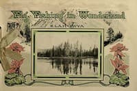 Fly Fishing in Wonderland book cover