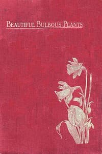 Beautiful Bulbous Plants for the Open Air book cover