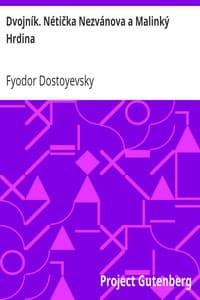 Dvojník. Nétička Nezvánova a Malinký Hrdina book cover