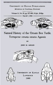 Natural History of the Ornate Box Turtle, Terrapene ornata ornata Agassiz