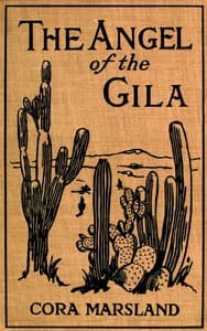 The Angel of the Gila: A Tale of Arizona book cover