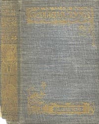 The Story of Florence book cover