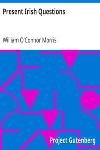 Present Irish Questions book cover