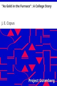 "As Gold in the Furnace": A College Story book cover