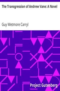 The Transgression of Andrew Vane: A Novel book cover