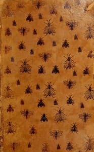 La vie des abeilles