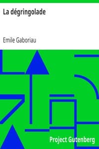 La dégringolade book cover