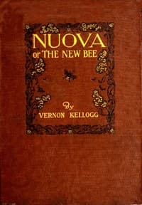 Nuova; or, The New Bee
