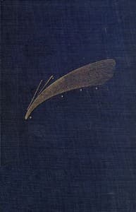 Astronomical Curiosities: Facts and Fallacies book cover