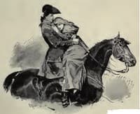 The red cockade